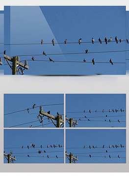 電線桿圖片素材與電纜設計模板 VIP素材資源集錦